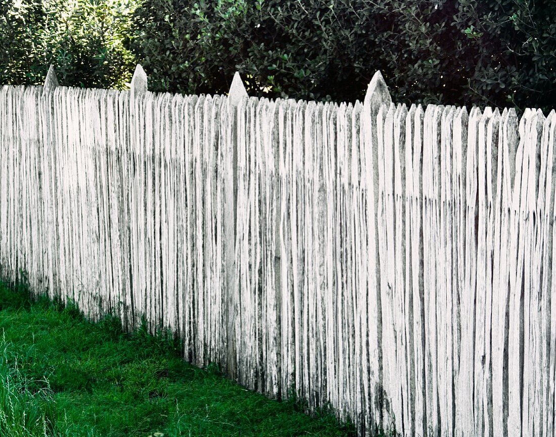 White Wooden Picket Fence