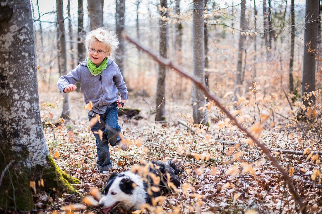 Boy and dog exploring in forest