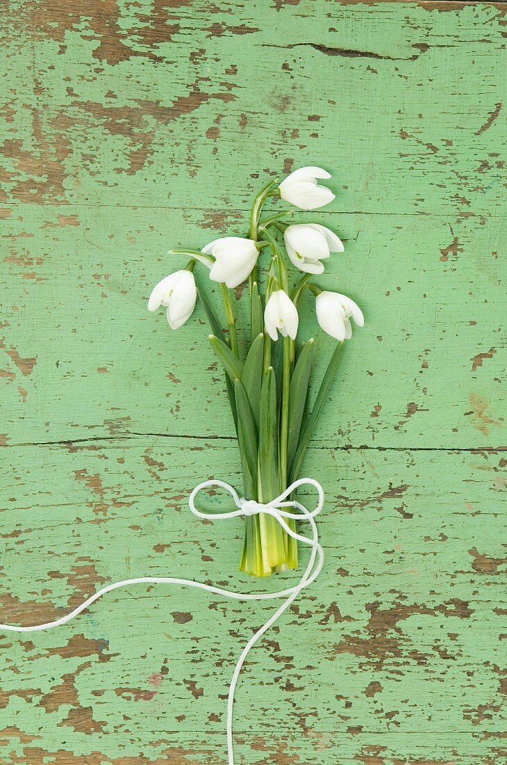 Posy of snowdrops on green wooden surface
