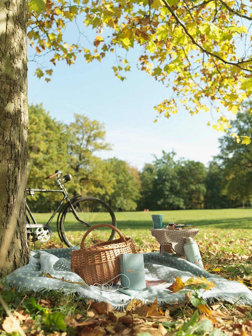 Picknick und Fahrrad auf herbstlicher Wiese