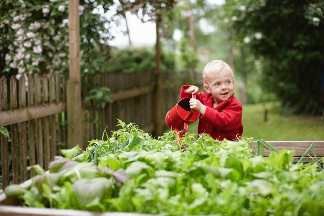 Toddler boy watering plants in backyard