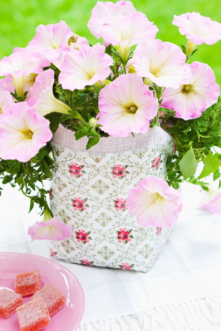 Blühende Blumen im gemusterten Übertopf und Schale mit Süssigkeit auf weißem Tischtuch