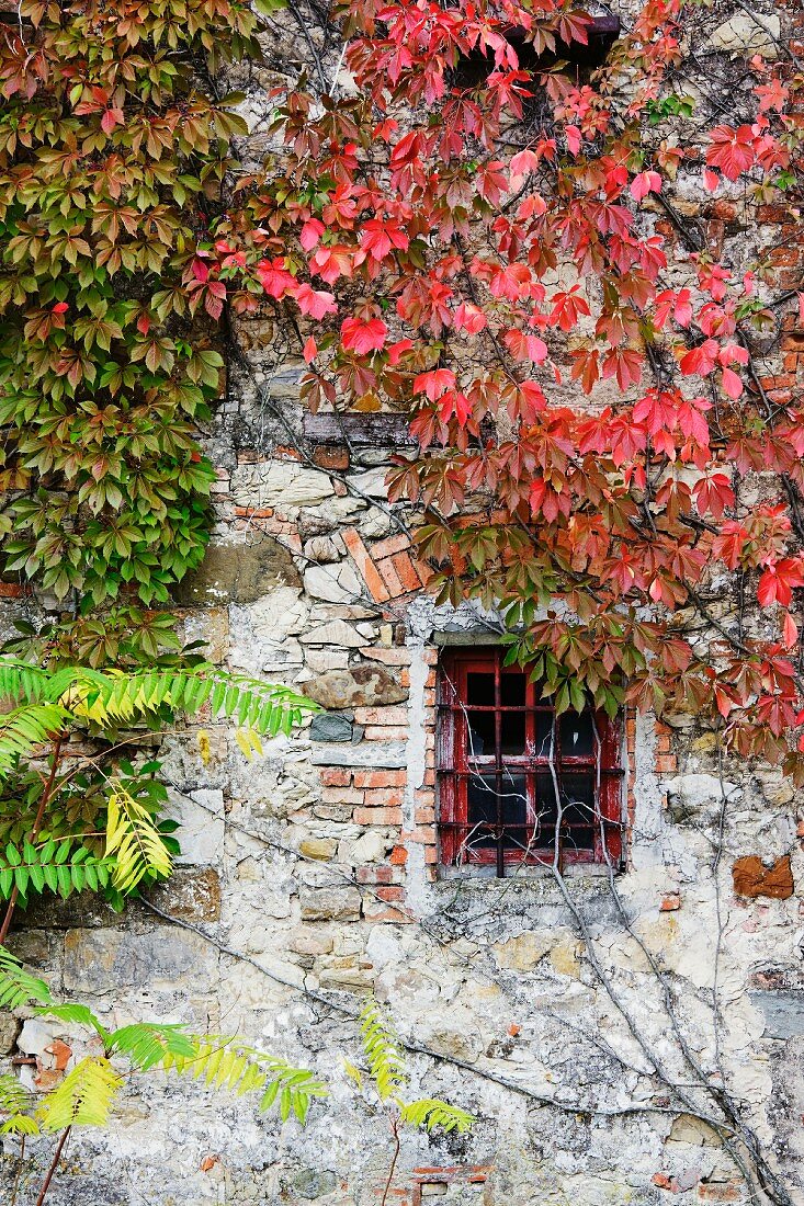 Fenster in altem Landhaus mit Ziegel- und Steinmauern