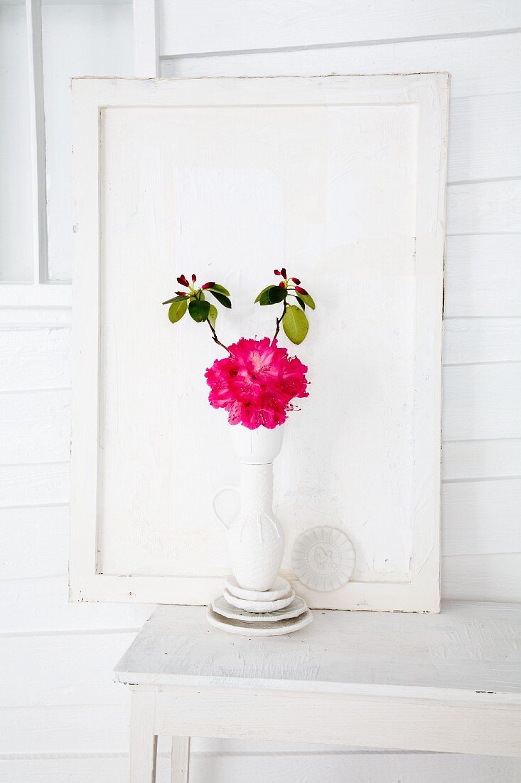 Rhododendron (Sorte: Abendsonne) in weisser Vase auf Tisch vor Holzpaneel