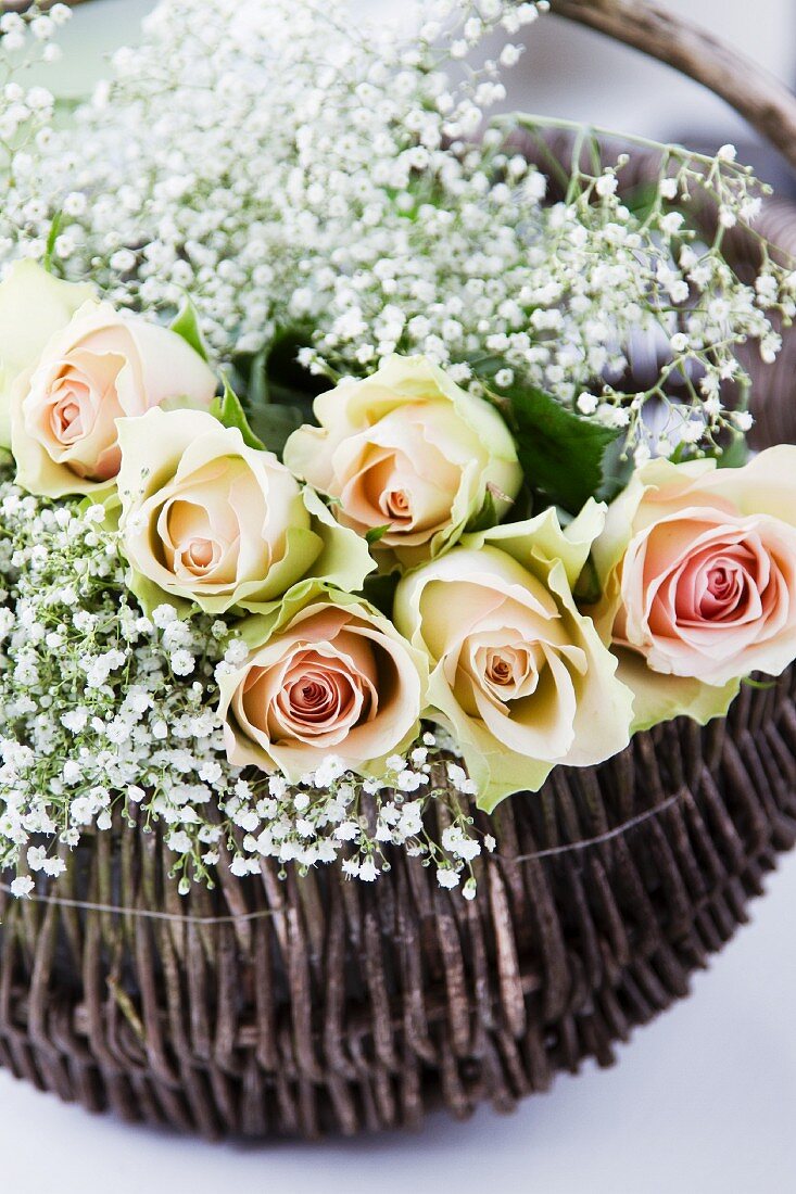 A basket of salmon-pink roses with gypsophila