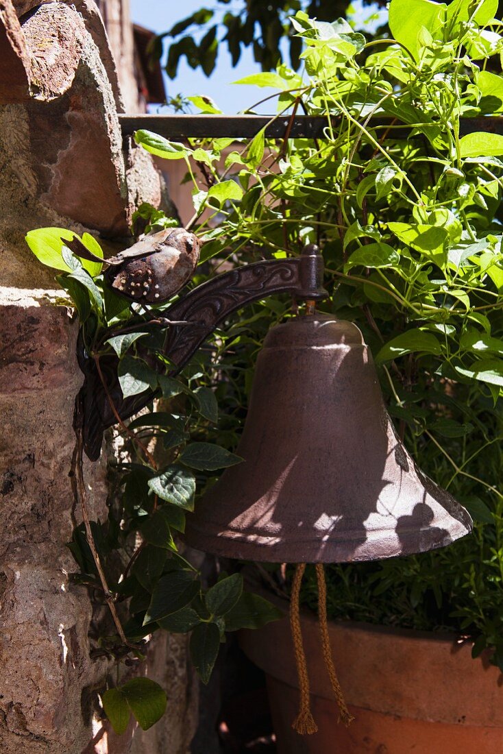 Vintage bell surrounded by climbing plant in garden