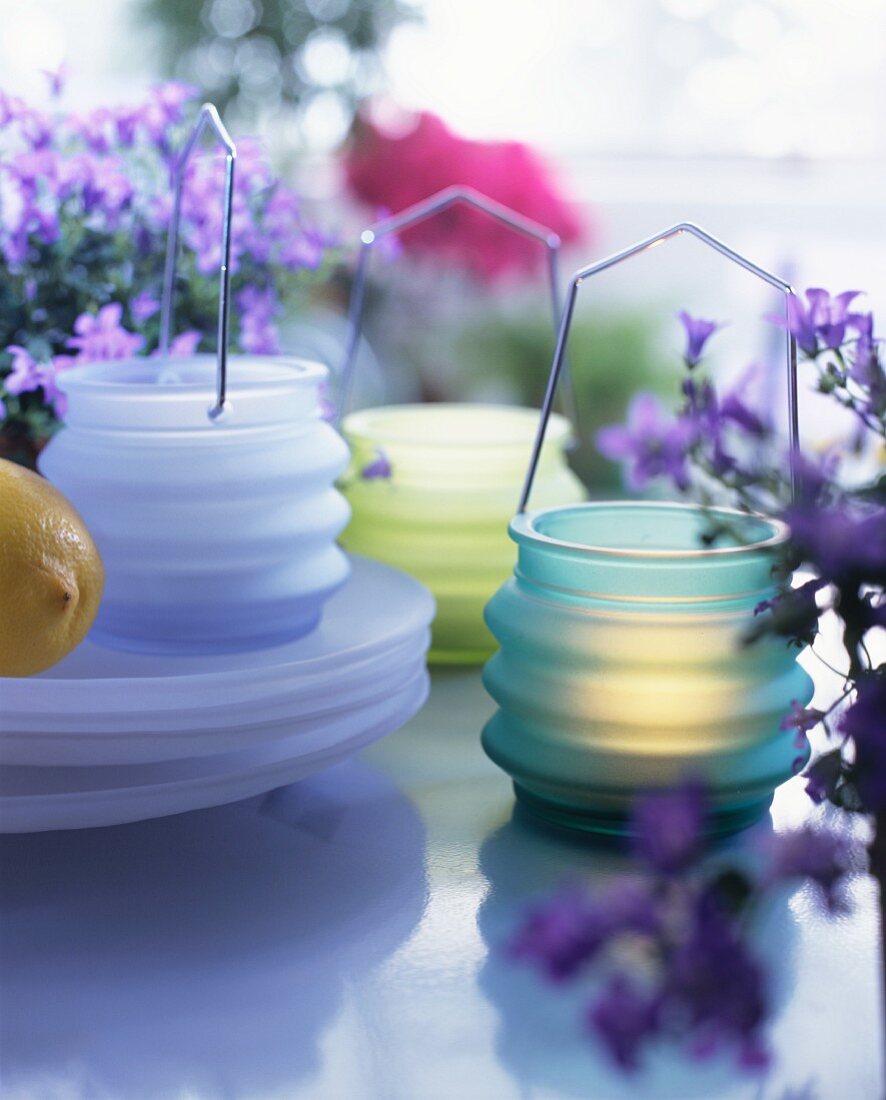 Verschiedenfarbige Windlichter aus Glas mit brennenden Kerzen und violette Topfpflanzen auf dem Tisch