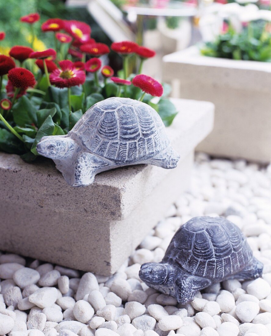 Schildkröten aus Stein auf Blumentopf und weissen Kieselsteinen