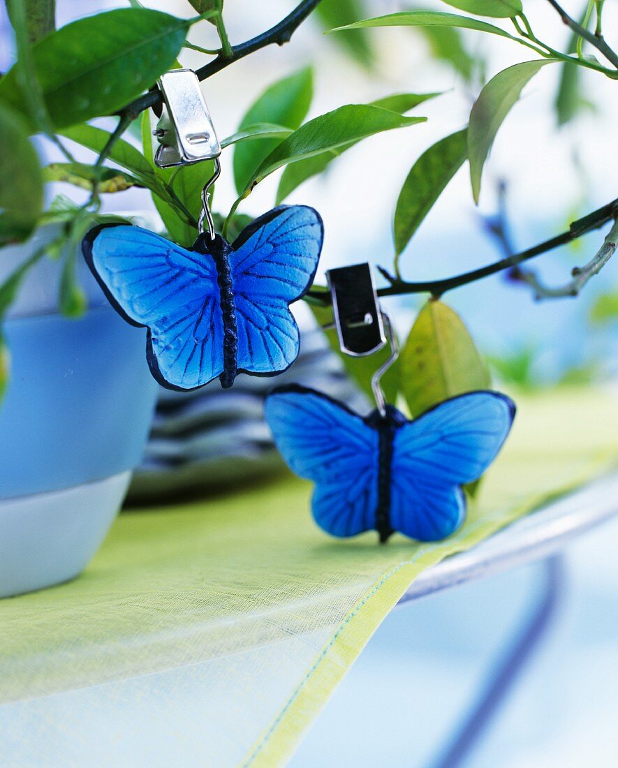 Decorative blue butterflies with clips hanging from a small tree