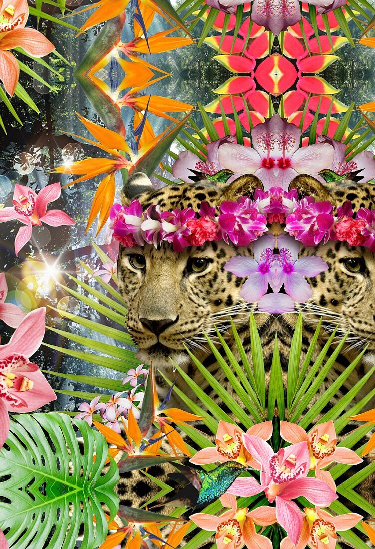 Collage mit Jaguaren und tropischen Pflanzen (Illustration)