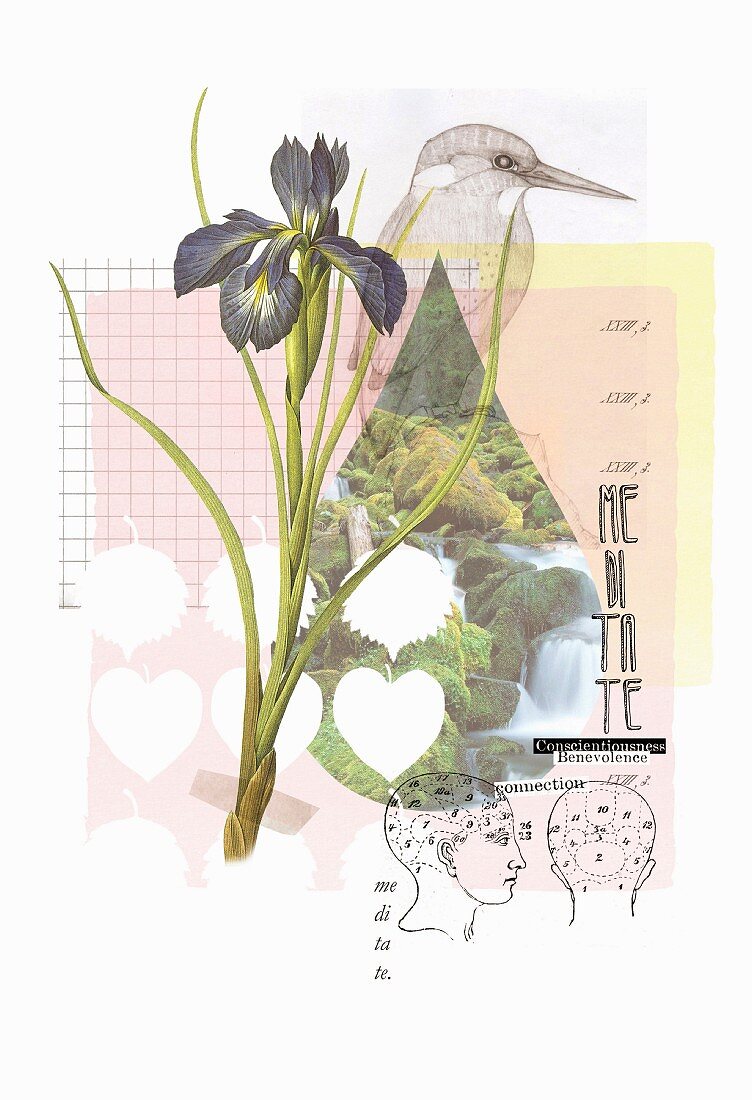 Mehrlagiges Naturdesign mit Iris (Illustration)