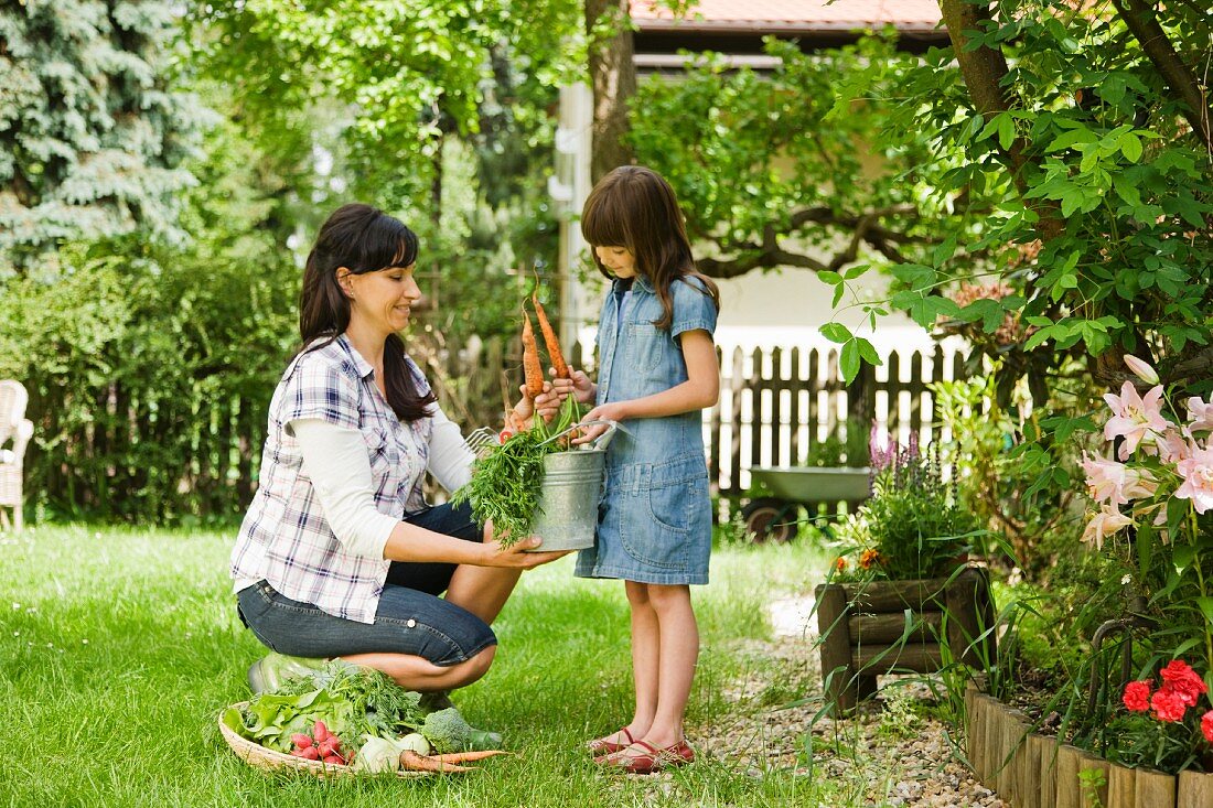 Mutter und Tochter ernten Gemüse im Garten