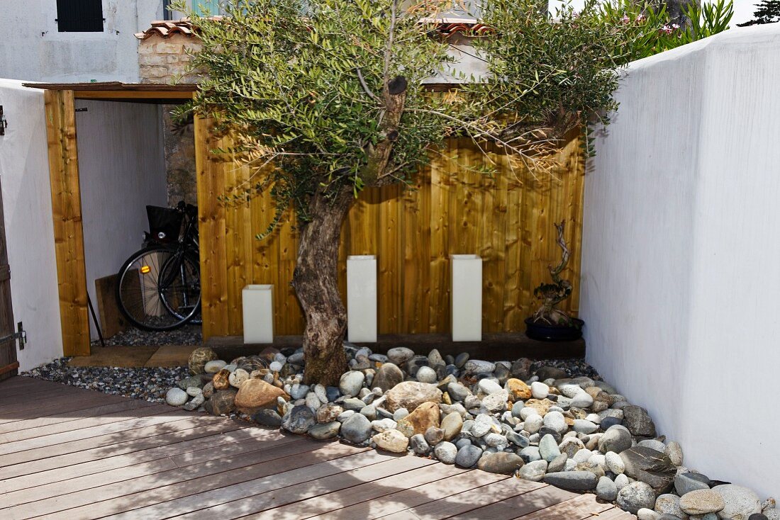 Wooden shed on the terrace of a home behind a stone garden bed mstone with an olive tree
