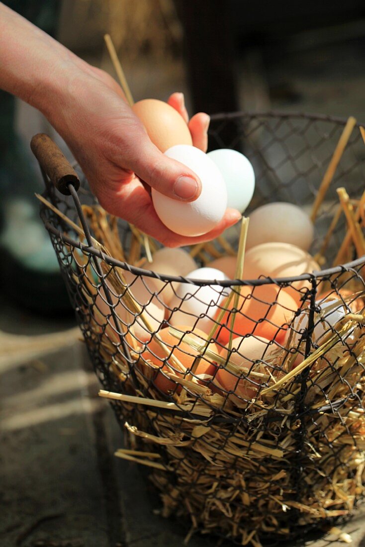 Frische Eier mit Stroh in einem Drahtkorb
