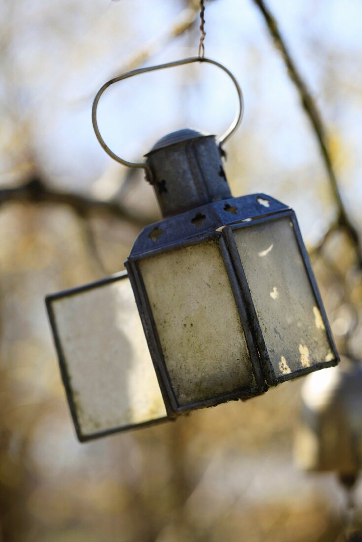Old lantern in garden
