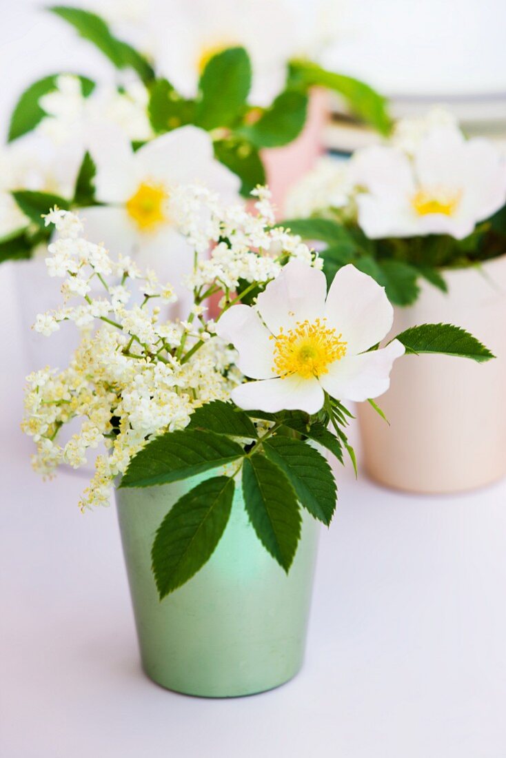 Wild roses and elder flowers in colorful metal containers