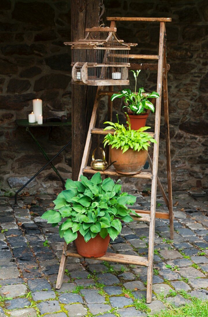 Wooden ladder with plants pots used as decoration, old bird cage, table and candles