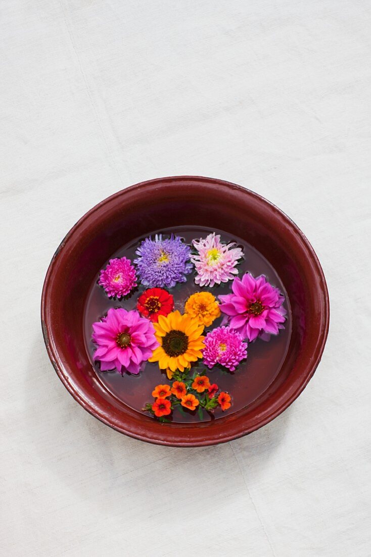 Verschiedene Blüten (Dahlie, Zinnien, Astern, Sonnenblume, Zwergpetunie) in alter Schale mit Wasser