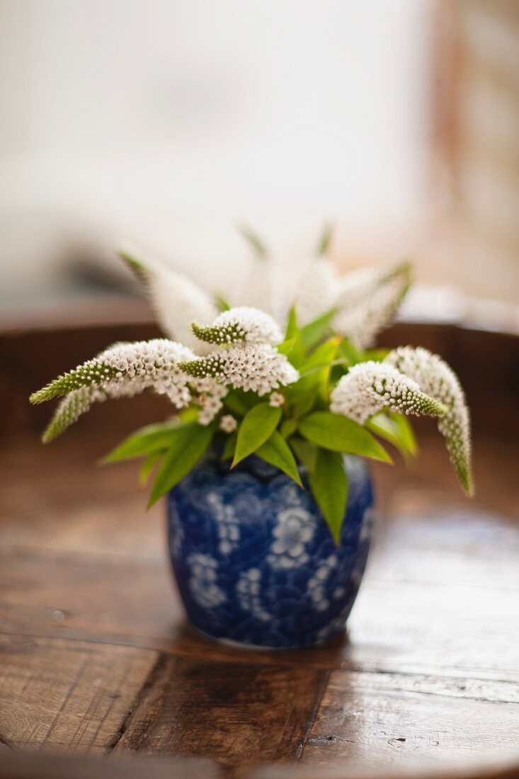 weiße Gartenblumen in einer kleinen, blauen Porzellanvase