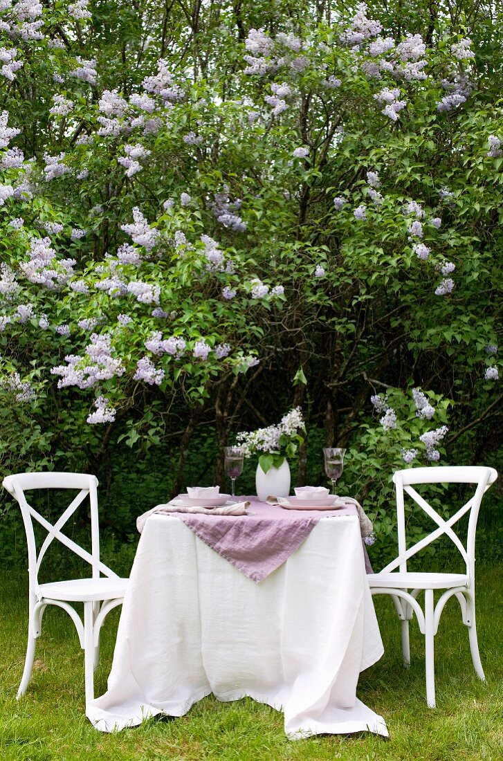Gedeckter Gartentisch mit weissen Stühlen vor prächtig blühenden Fliederbäumen