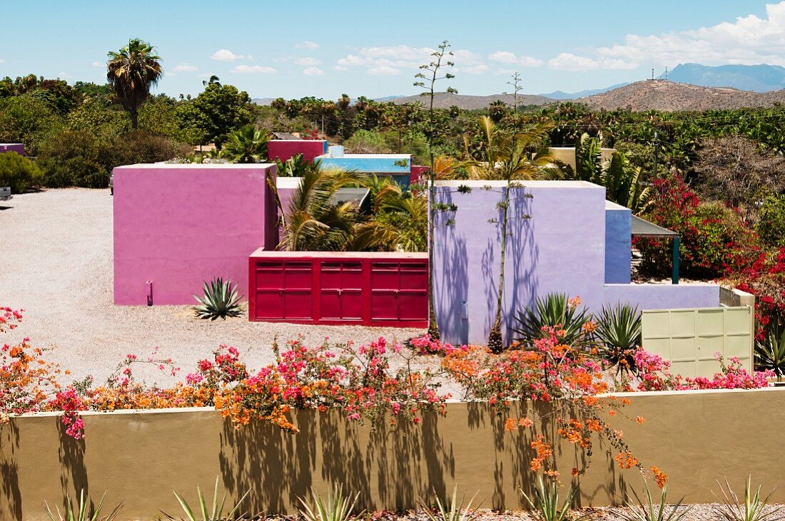 Courtyard of Hotelito with four brightly coloured guest buildings; Rosa, Azul, Verde and Violette