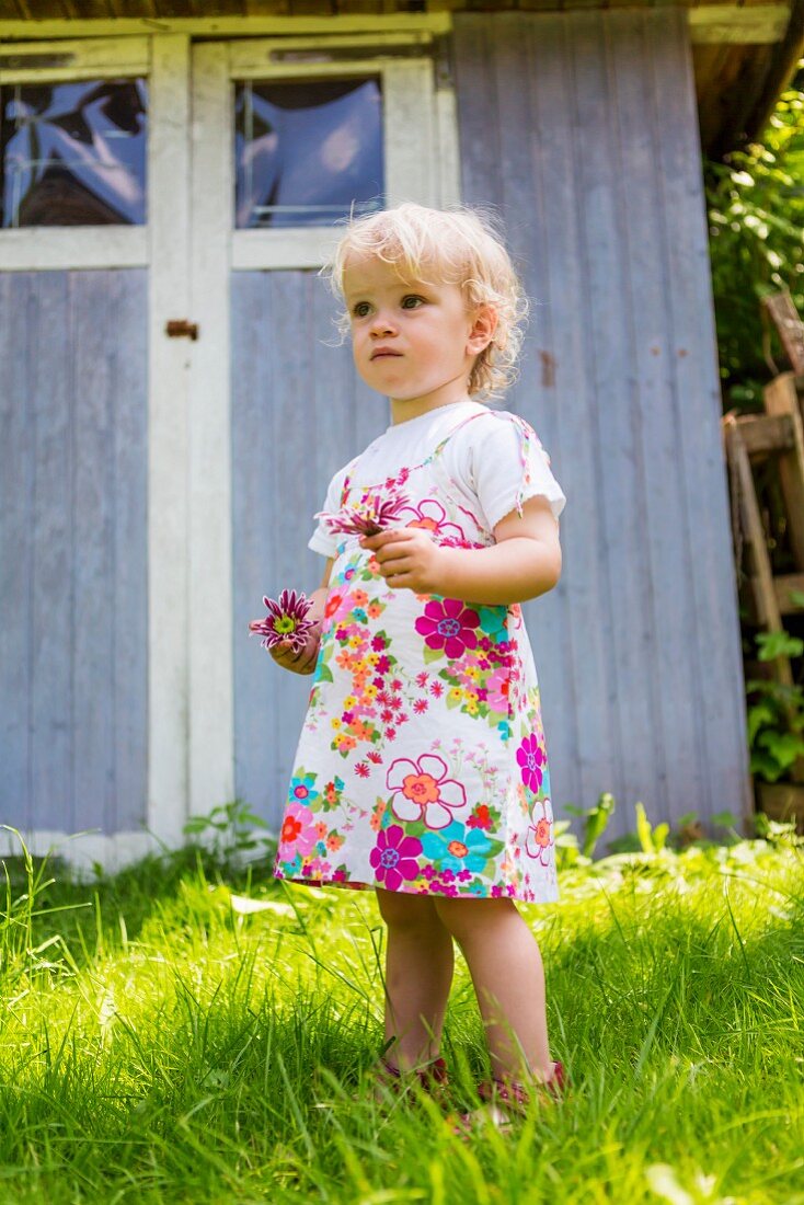 Little girl picking flowers