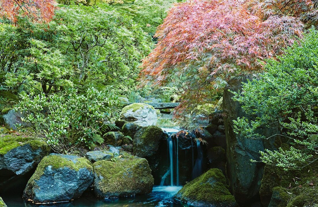 Kleine Kaskade im Teich des japanischen Tea Gardens in Portland
