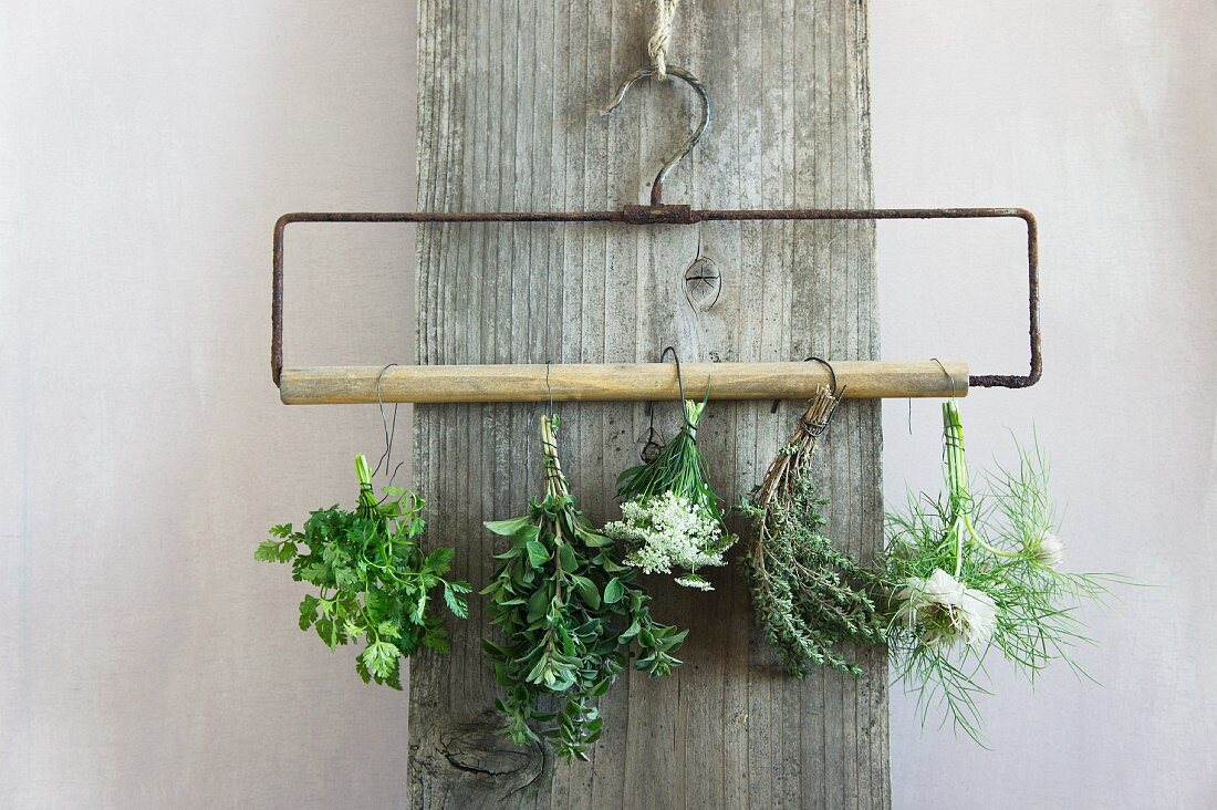 Drying chervil, marjoram, cow parsley, thyme, nigella on a clothes hanger