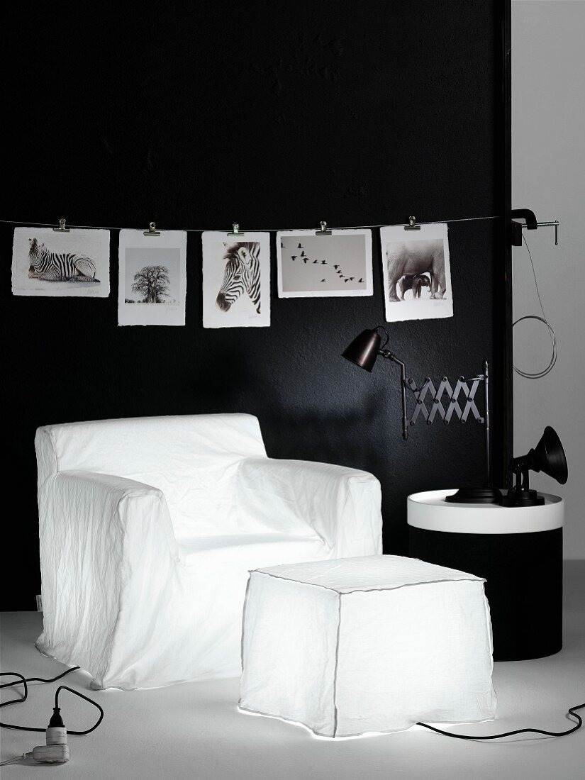 Leuchtkörper in Sessel- und Sitzhockerform vor schwarzer Wand mit aufgehängten Tier Fotos in Schwarz-weiss