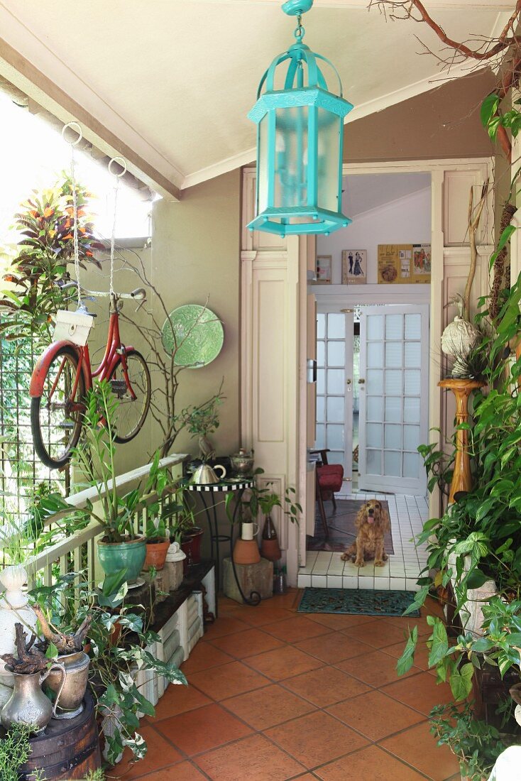 Many potted plants, suspended bicycle and turquoise lantern-style lamp on veranda