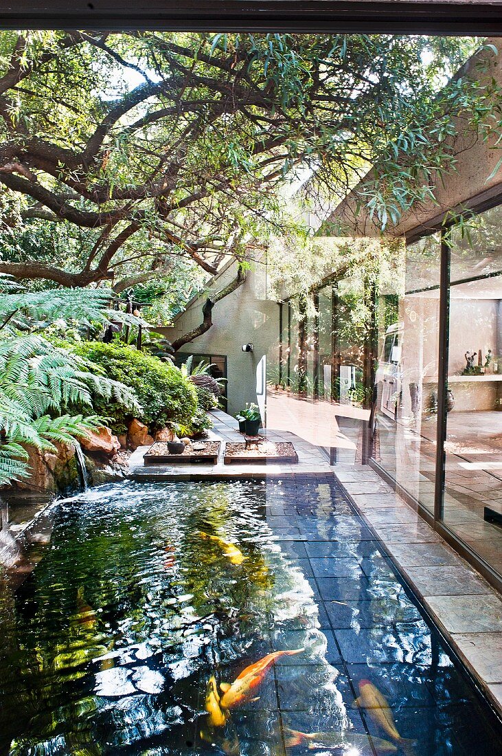 Fish pond in South-African garden adjoining modern bungalow