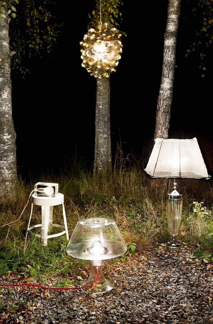 Various lit table lamps and pendant lamp arranged in front of birch trunks in dark woods