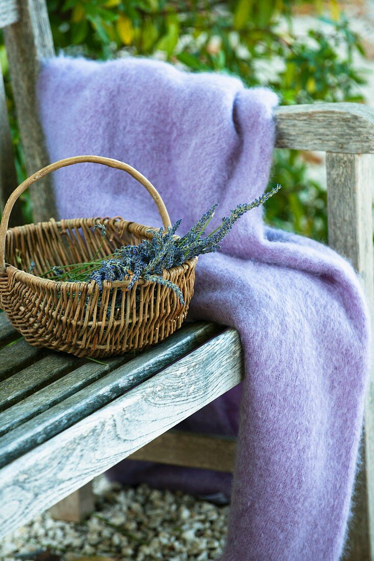 Flauschige, violette Decke und Körbchen mit Lavendelblüten auf Bank im Garten