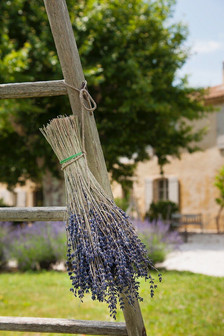 Getrockneter Lavendelstrauss an alter Holzleiter; provenzalisches Anwesen verschwommen im Hintergrund