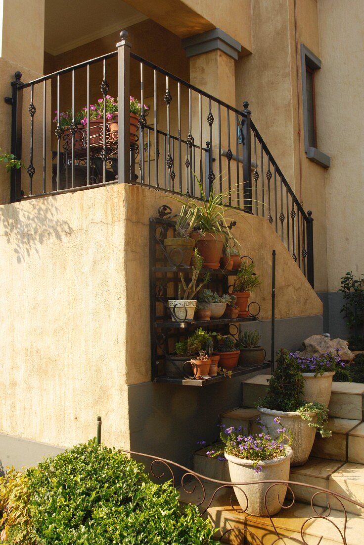 Treppenaufgang an älterem Landhaus mit schmiedeeisernem Geländer und Regal mit Blumentöpfen