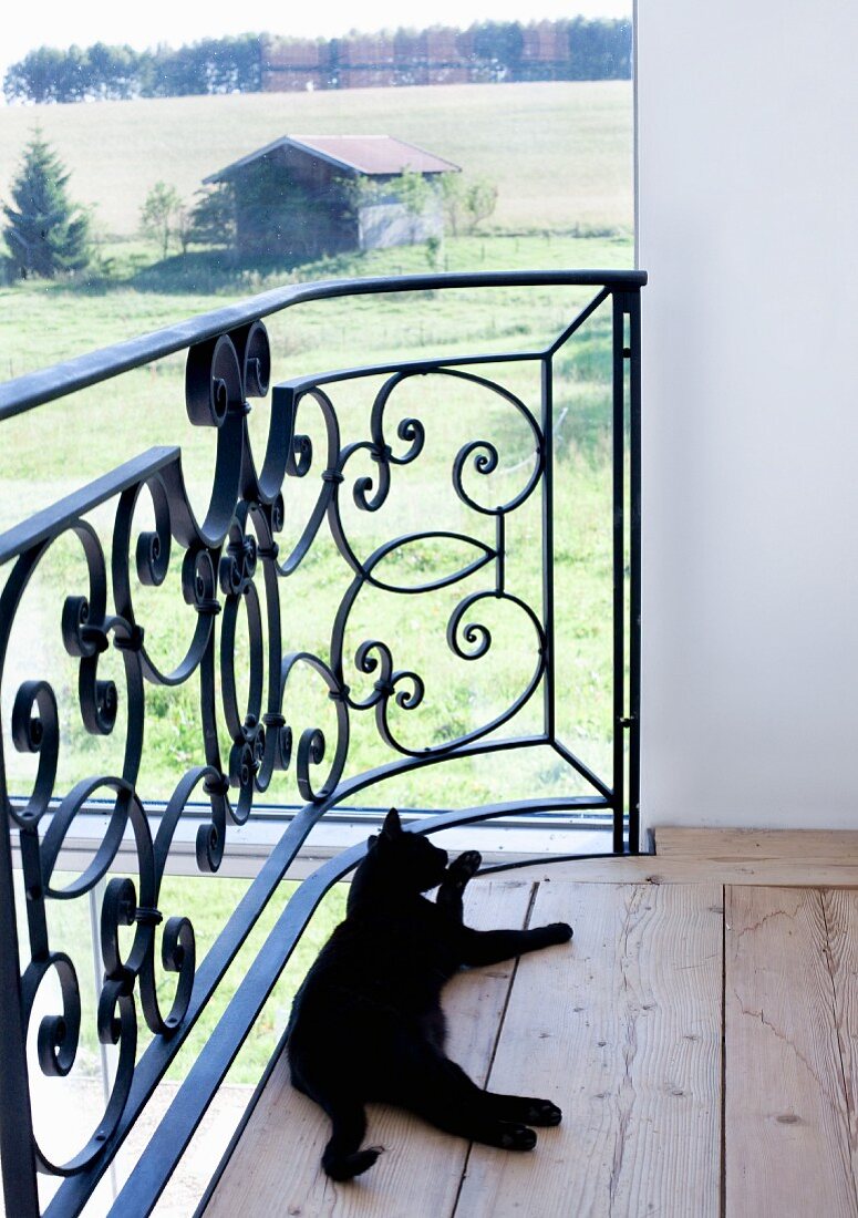 Eine schwarze Katze putzt sich auf der Galerie mit Panoramablick über die ländliche Umgebung