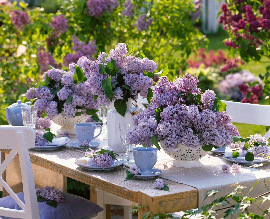 Table laid out side decorated with lilacs