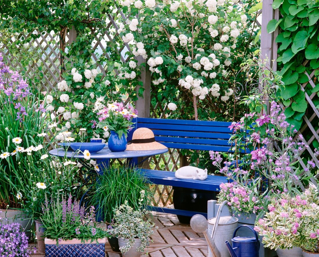 Blauer Bank mit Tisch, blühende Kletterrosen und Lilien in einem Gartenpavillon