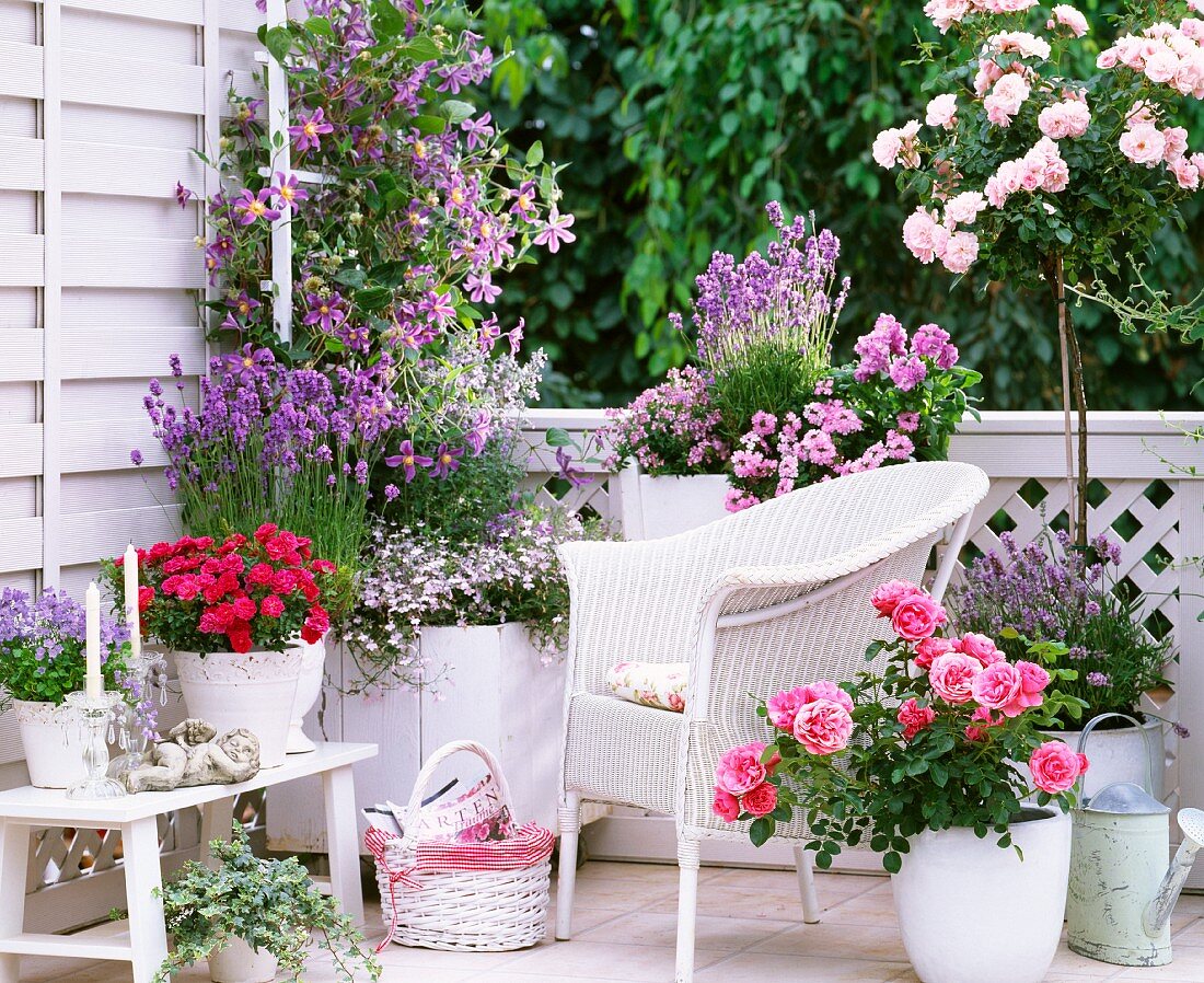 Blühender Balkon mit Farbabstufungen von rosa über pink bis lila mit weißem Korbstuhl und weissen Übertöpfen