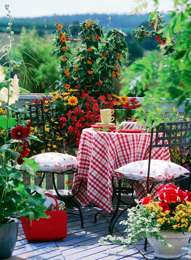 Flowering balcony in late summer with cheerful tablecloth on balcony table