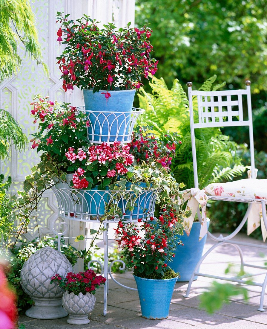 Fuchsien, Springkräuter und Fleissige Lieschen in blauen Töpfen, Metalletagere, Deko-Pinienzapfen auf einer Terrasse