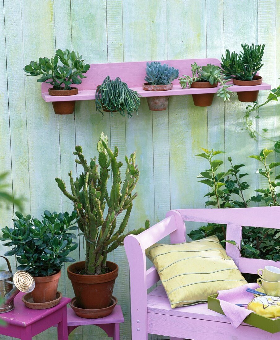 Pflanzen in Terrakottatöpfen (Feigenkaktus, Geldbaum, Fettblatt) auf einer Terrasse mit Wandbord und rosa Sitzbank