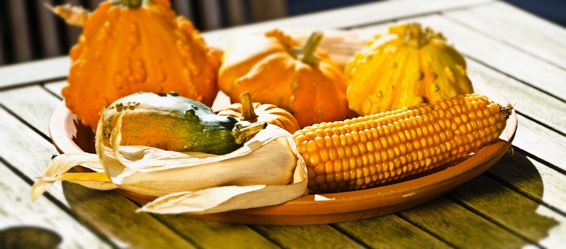 Herbstdekoration mit Maiskolben und Zierkürbissen