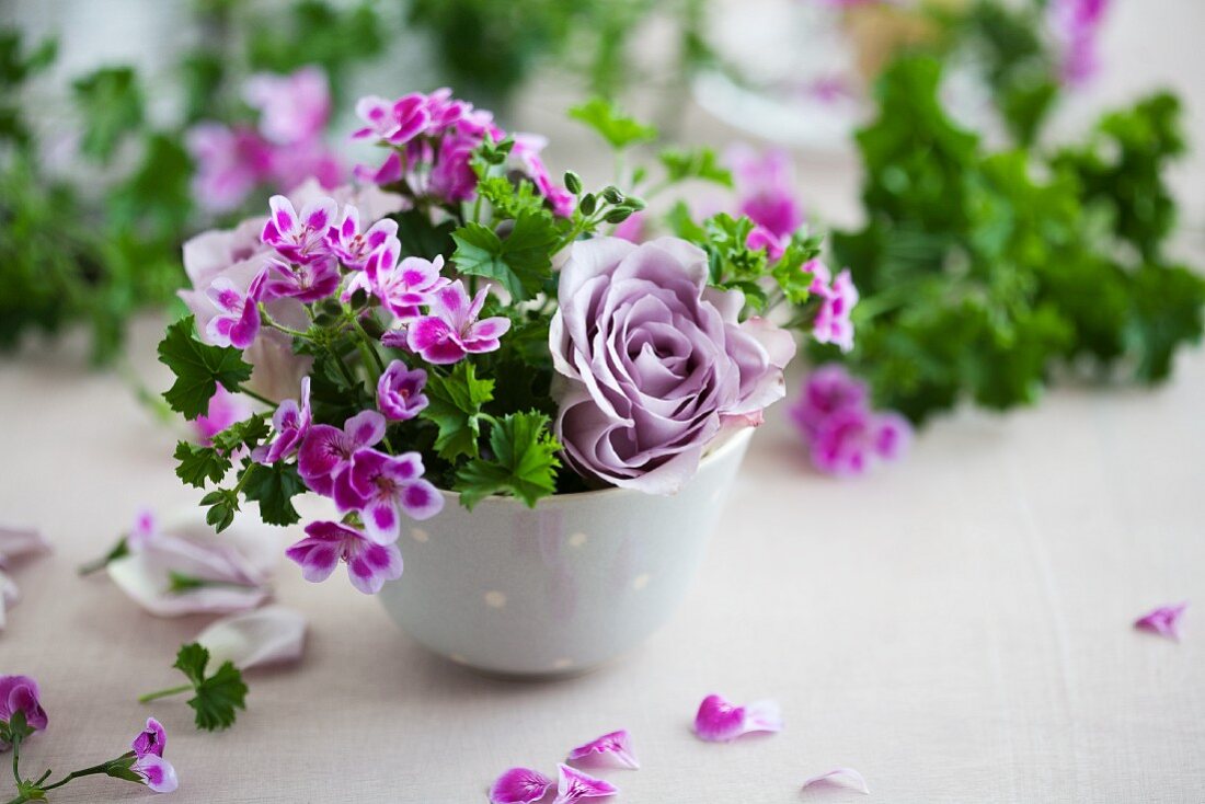 Arrangement of pelargoniums and lilac roses