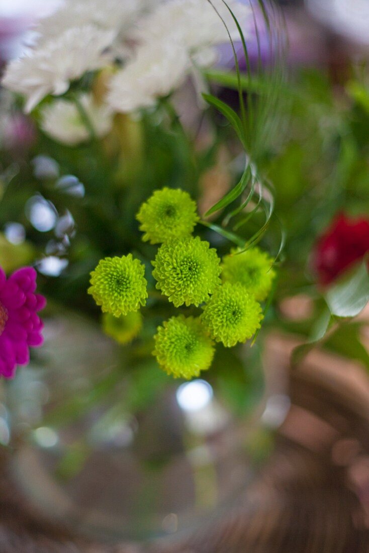 Frühlingsblumen in einer Vase