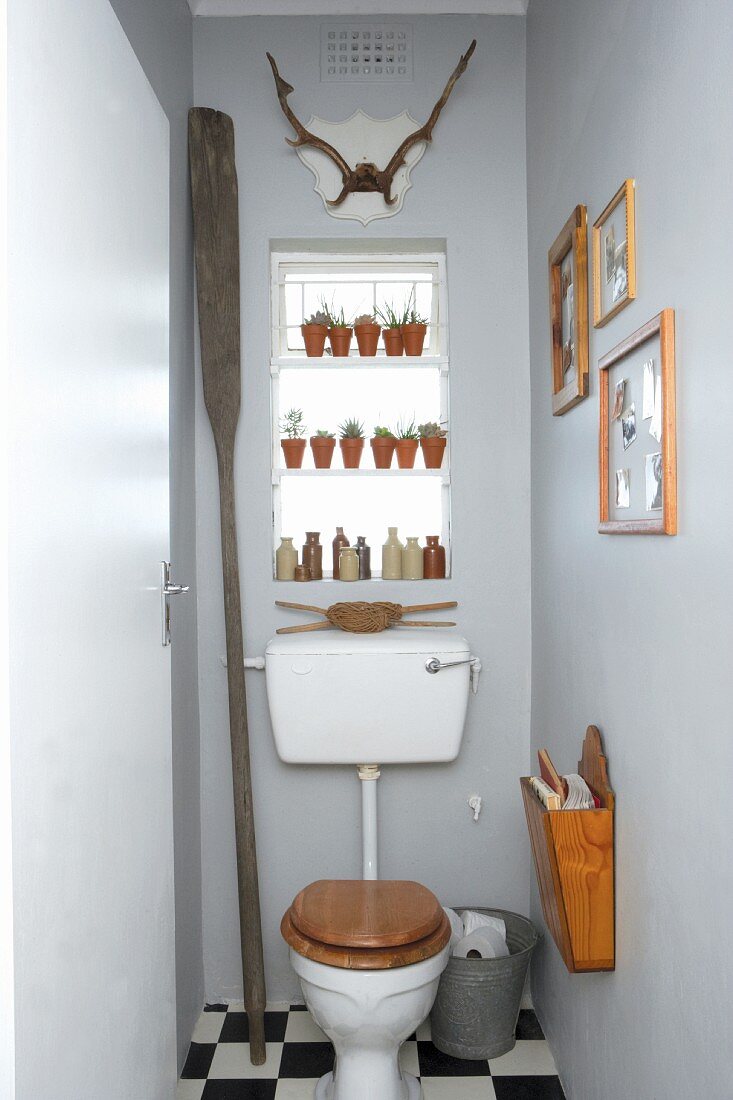Toilet with white cistern; potted plants in window niche below antlers on wall
