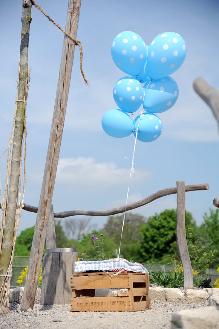 Blaue Luftballons mit weissen Punkten an einer Holzkiste befestigt