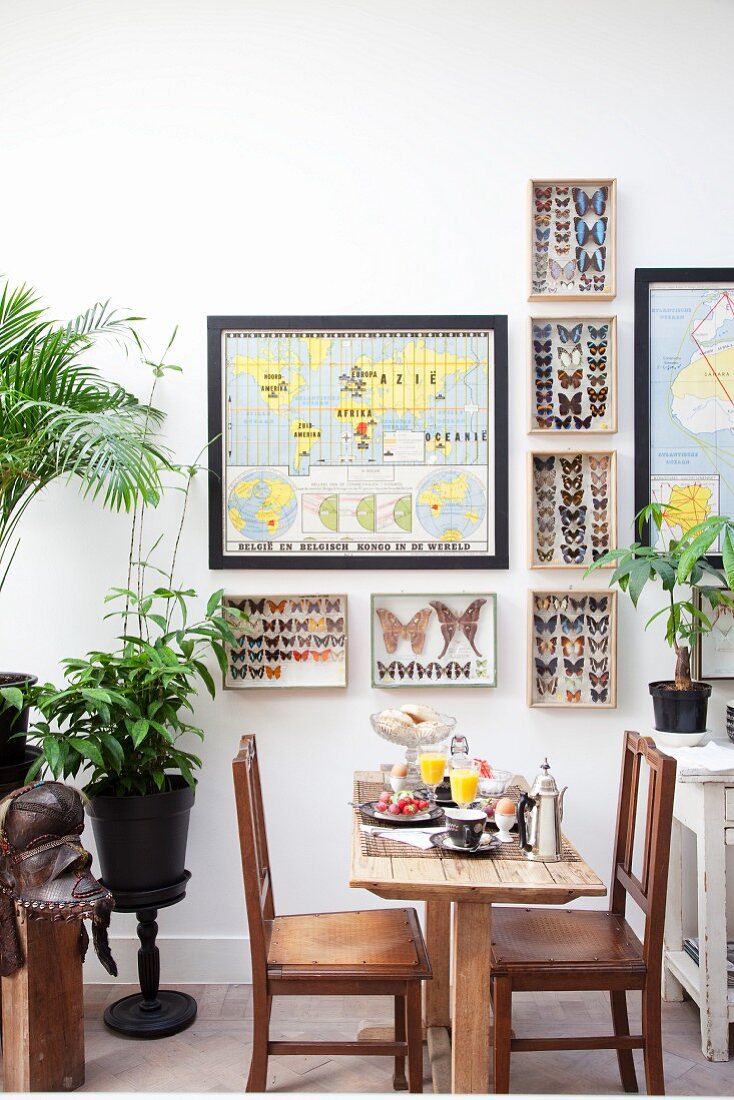 Sammlung von Schmetterlingen und Landkarten an der Wand neben dem Frühstückstisch