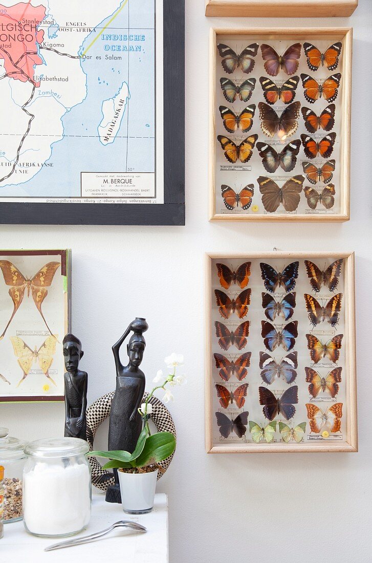 African sculptures on table in front of collection of butterflies on wall