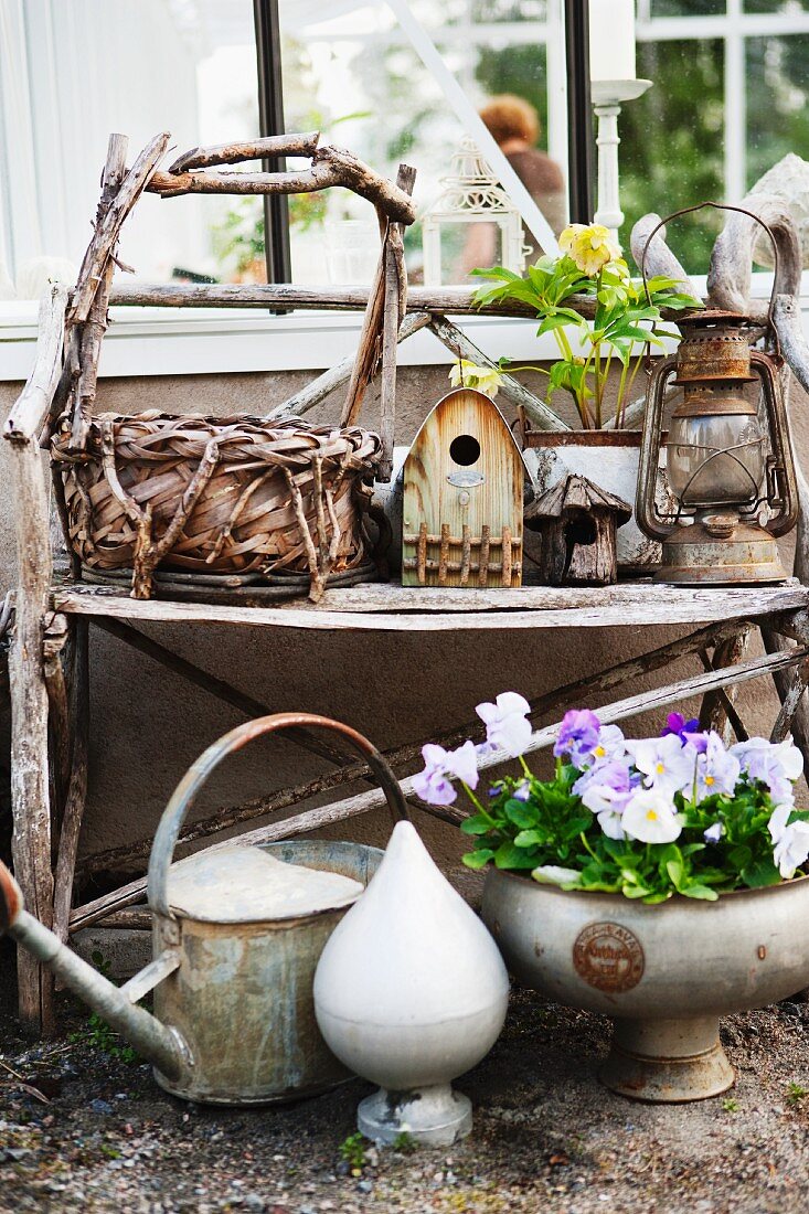 Basket, bird box, lantern, watering can and violas on old shelf in greenhouse